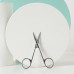  Silver Sand series pointed beauty scissors
