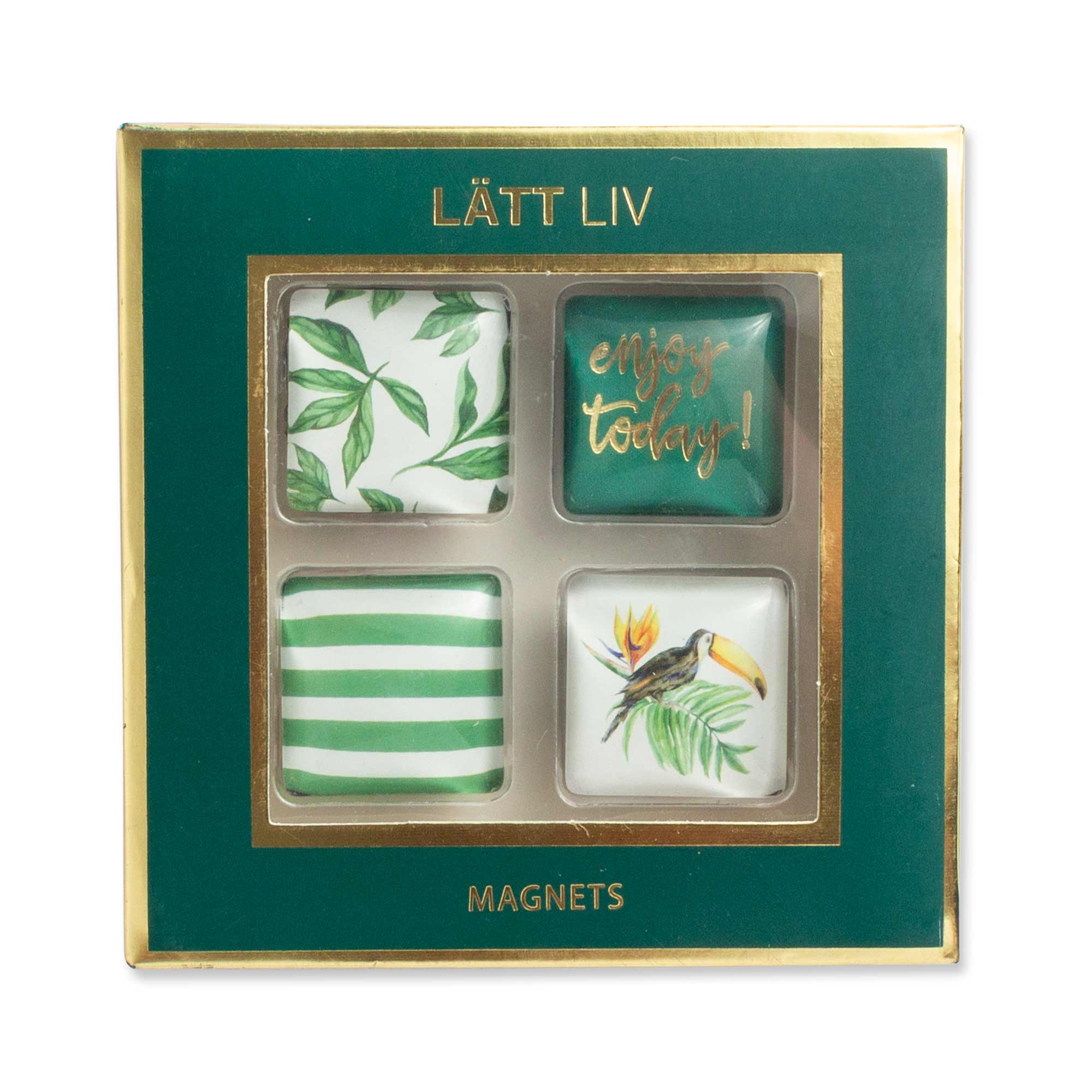 Monstera Leaf Fridge Magnet Set